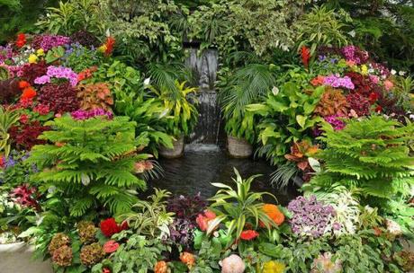 Final Words to Get Gardening Ideas for Small Yards - Harptimes.com
