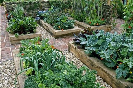 Gardening Ideas For Small Yards Choose Plant Varieties - Harptimes.com