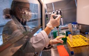 InvestEU: EU programme to encourage investment | News | European Parliament