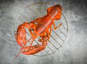 Quick Guide: Ways Cook Lobster Tails