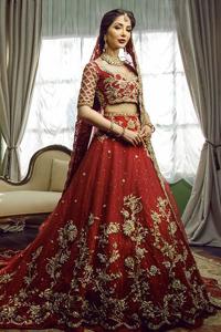 Red Back Train Front Open Gown – Golden Lehenga