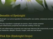 Eyebright Extract: Benefits, Side Effects Dosage