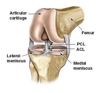 ACL Repair vs Reconstruction