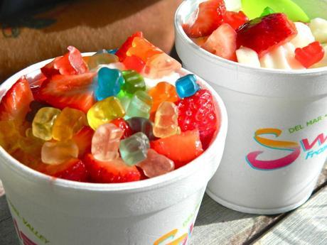 the best frozen yogurt