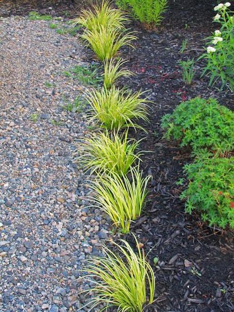 A shrub bounces back, a grass holds up and my daughter is impressed