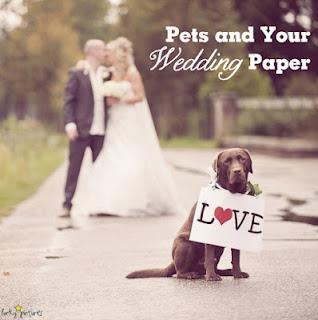 Pets and Your Wedding Paper