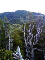 Weld Ridge Winter Traverse