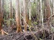 Weld Ridge Winter Traverse