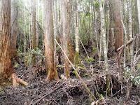 Weld Ridge Winter Traverse