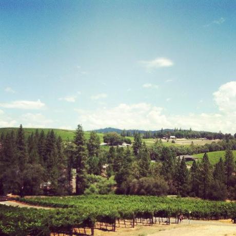 Wine Tasting in El Dorado County