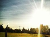 Haven't Been While, Sorry About That...