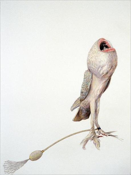 Julia Randall – Abstract Mouth Drawings