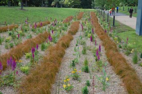 Burgess Park Entrance Planting