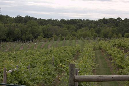 Wisconsin Wineries (46 of 46)