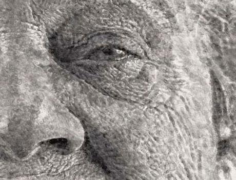 Chuck Close – Fingerprint Portrait