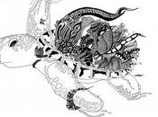 Alexis Kadonsky Inking Turtle