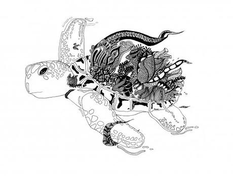 Alexis Kadonsky – Inking Turtle