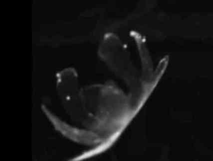 Medusoid Artificial Jellyfish (You Tube Image)