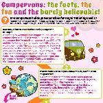 Facts About Campervans