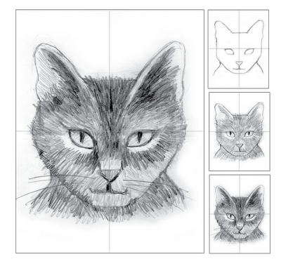 Cat Head Pencil Shading