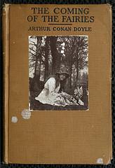 The Fairy Truth by Sheryl Steines (Guest Post) The Fairy Truth by Sheryl Steines (Guest Post)