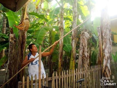 Ginatilan, Cebu | Quiet Town of the South