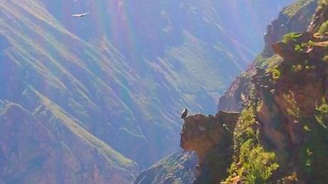 Arequipa and The Colca Canyon, Peru