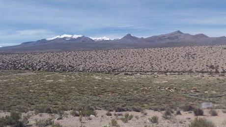 Lauca National Park, Chile