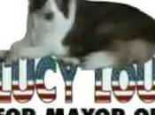 Animals That Mayor (And Won!)