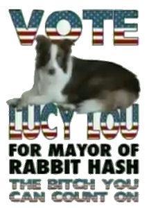 4 Animals That Ran for Mayor (And Won!)