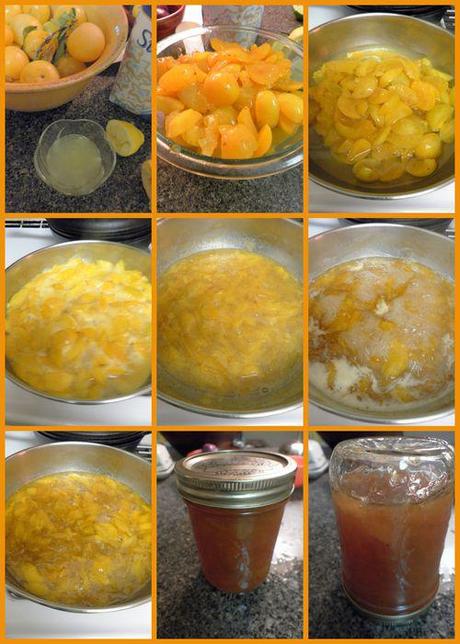 Yellow plum jam- collage