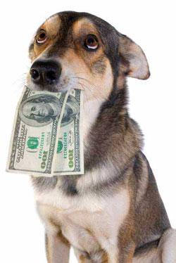 Pets are not born with $100 bills in their jaws: image via petgather.com