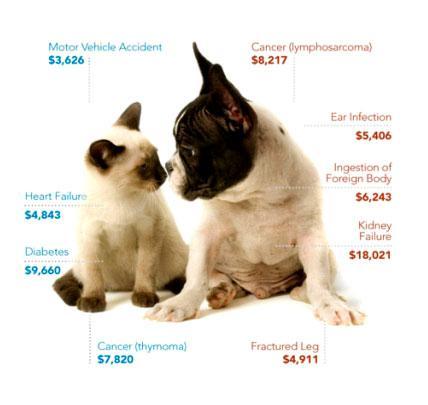 PetPlans estimated costs for various 'unexpected' vet visits: image via 1800PetMeds.com