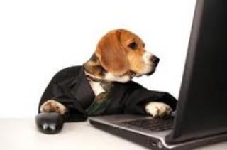 Let's see how this pet health insurance policy reads....: image via insuranceproviders.com/