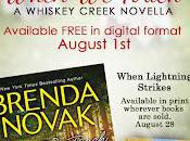 When Lightning Strikes Brenda Novak [Spotlight]