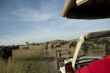 Hotel review: Mara Bushtops, Kenya