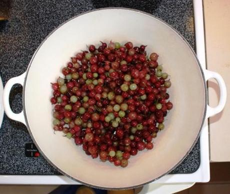 GOOSEBERRY AND RASPBERRY JAM