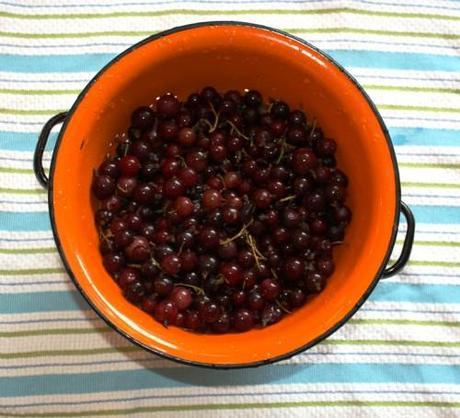 GOOSEBERRY AND RASPBERRY JAM