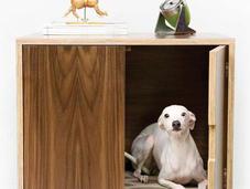 Modernist Pets