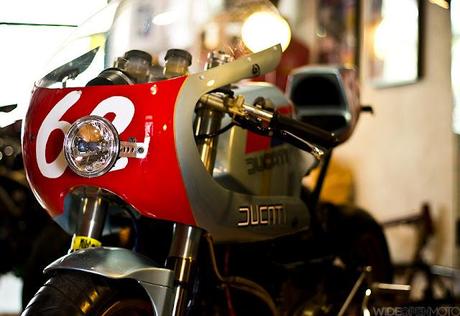 Radical Ducati Pantahstica