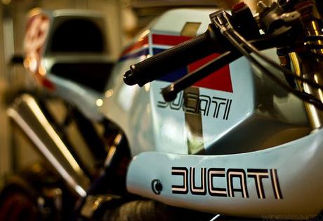 Radical Ducati Pantahstica