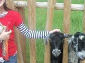 Should Choose Kids Friends?