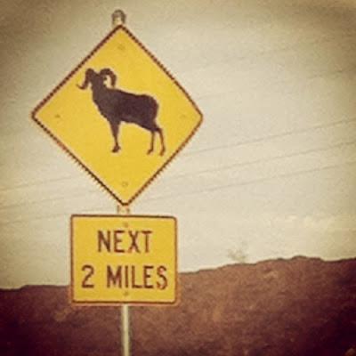 Nevada/Arizona Trip, Day 4