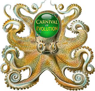 Carnival of Evolution on Pharyngula
