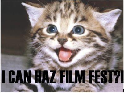Internet Cat Video Film Festival: Source: picturesofcats4you.com