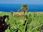 Unforgettable Visits Your Tenerife Holidays
