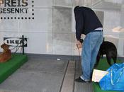 IKEA Germany Provides 'Dog Parking' Area Customers