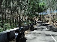 56) Yelagiri (Elagiri): (7/6/2012)