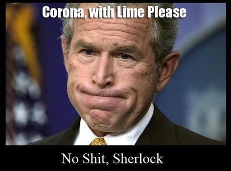 no_shit Meet Captain Obvious