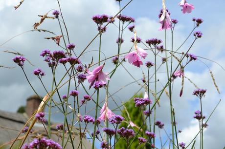 Friday Flowers